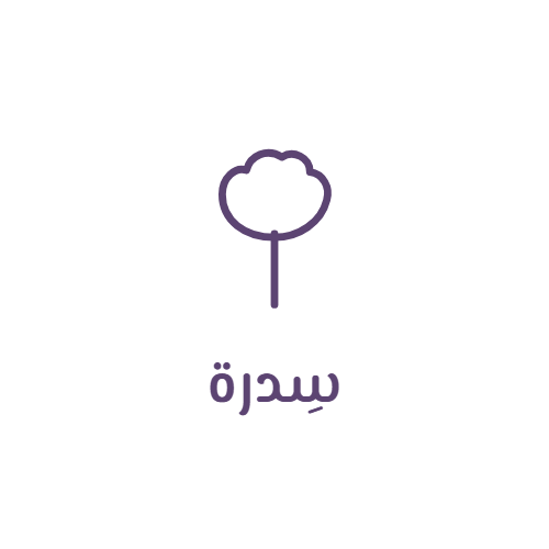 سِدرة